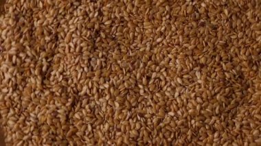 Organik altın keten tohumu, keten tohumu. Yüksek lifli süper yiyecekler.