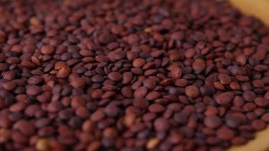 Pişmemiş organik tohumlar koyu kırmızı mercimek.. 