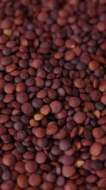 Pişmemiş organik tohumlar koyu kırmızı mercimek.. 