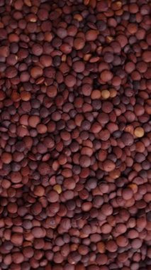 Pişmemiş organik tohumlar koyu kırmızı mercimek.. 