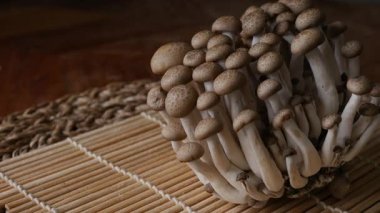 Taze kahverengi shimeji mantarı veya kayın mantarı.