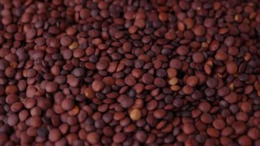 Pişmemiş organik tohumlar koyu kırmızı mercimek.. 