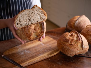 Baker Hand Sunar Ev Yapımı Ekşi Hamur.