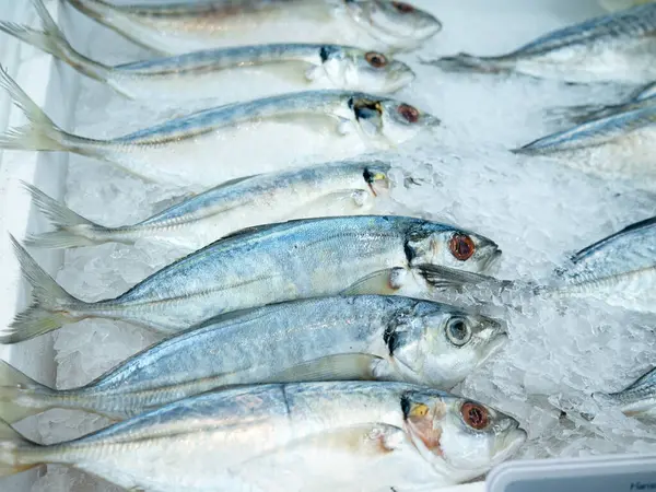 Balık pazarında satılık taze Kocagöz kepçesi..