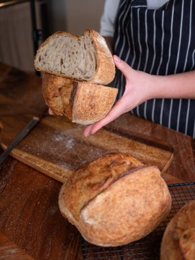 Baker Hand Sunar Ev Yapımı Ekşi Hamur.