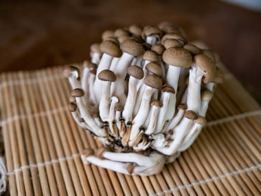 Taze kahverengi shimeji mantarı veya kayın mantarı.