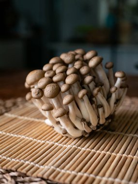 Taze kahverengi shimeji mantarı veya kayın mantarı.