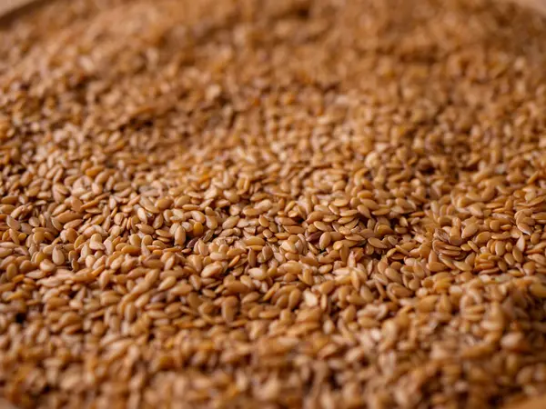 Organik altın keten tohumu, keten tohumu. Yüksek lifli süper yiyecekler.