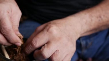 Kurutulmuş tütünle sarılmış sigara hazırlıyorum..