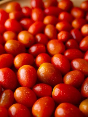 Organik kırmızı vişneli domates. Taze sebze. Boşluğu kopyala.