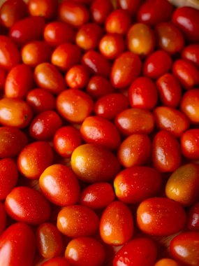 Organik kırmızı vişneli domates. Taze sebze. Boşluğu kopyala.