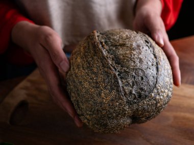 Kadın elinde taze pişmiş ekşi ekmek tutuyor. Karşınızda ev yapımı ciabatta ekmeği.