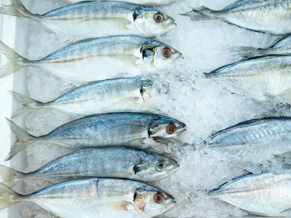 Balık pazarında satılık taze Kocagöz kepçesi..