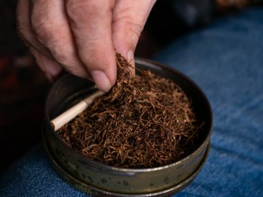 Kurutulmuş tütünle sarılmış sigara hazırlıyorum..