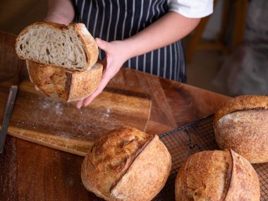 Baker Hand Sunar Ev Yapımı Ekşi Hamur.
