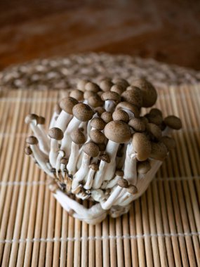 Taze kahverengi shimeji mantarı veya kayın mantarı.