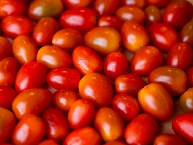 Organik kırmızı vişneli domates. Taze sebze. Boşluğu kopyala.