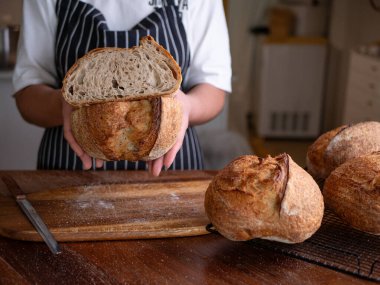 Baker Hand Sunar Ev Yapımı Ekşi Hamur.