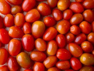 Organik kırmızı vişneli domates. Taze sebze. Boşluğu kopyala.