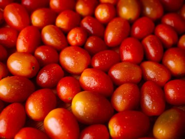 Organik kırmızı vişneli domates. Taze sebze. Boşluğu kopyala.