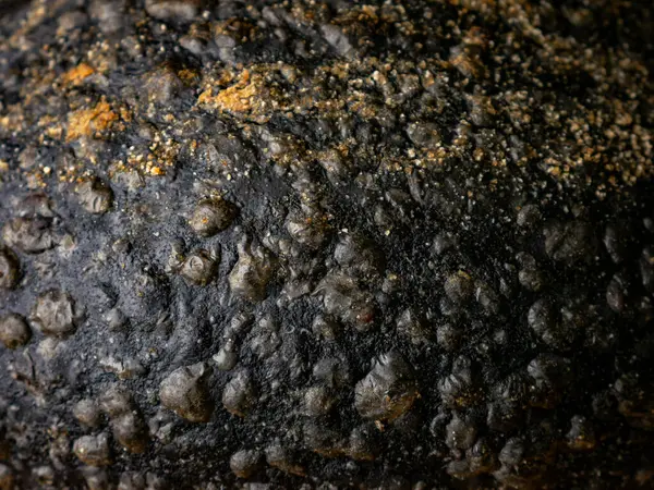 Kömür siyah ekmeğin doku kabuğu..