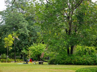 Güneşli bir günde halka açık bir parkta yeşil çimlerde rahatlayan ve oturan bir grup insan..