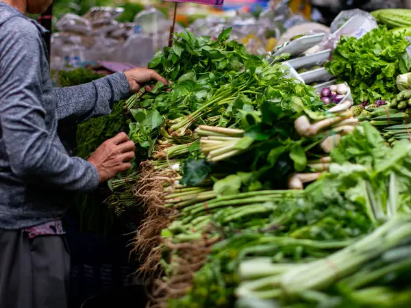 Müşteri Market Stall 'dan Taze Sebze Seçiyor.