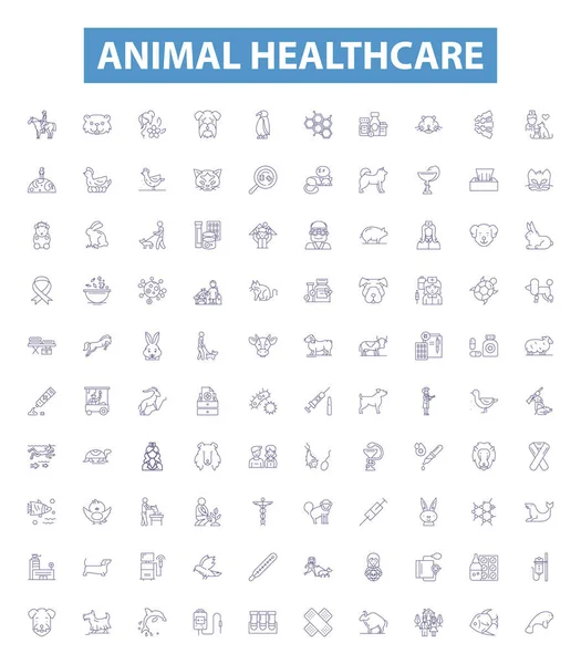 Tiergesundheit Linie Symbole Zeichen Gesetzt Tierarztsammlung Tiermedizin Wellness Diagnostik Behandlung — Stockvektor