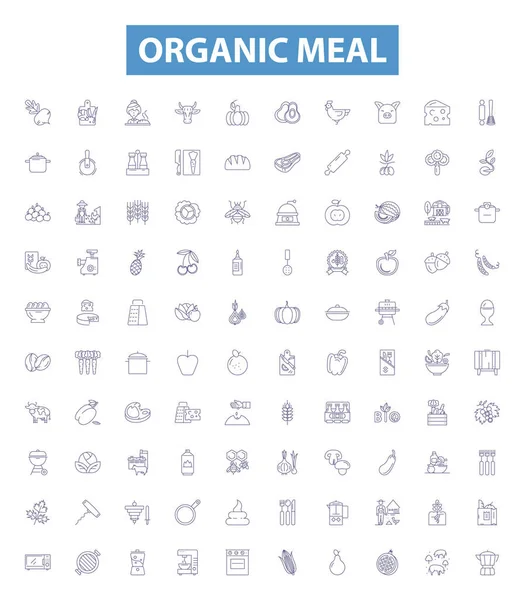 Organic Meal Line Icons Signs Set Collection Organic Meal Vegetarian — Stock Vector