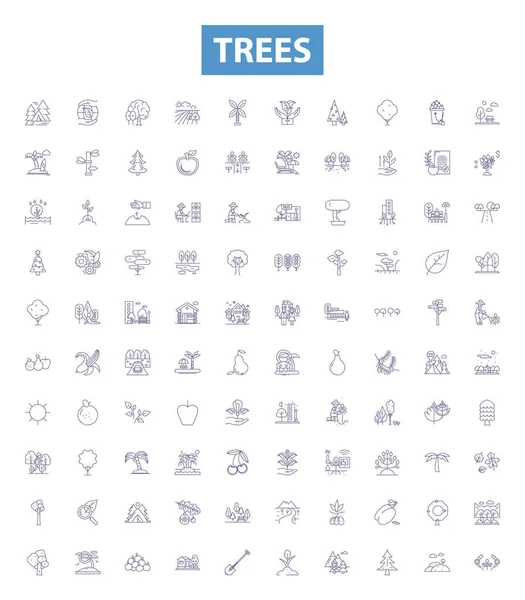 Kolekcja Ikon Linii Drzew Drzewo Dąb Klon Sosny Cedry Popiół — Wektor stockowy