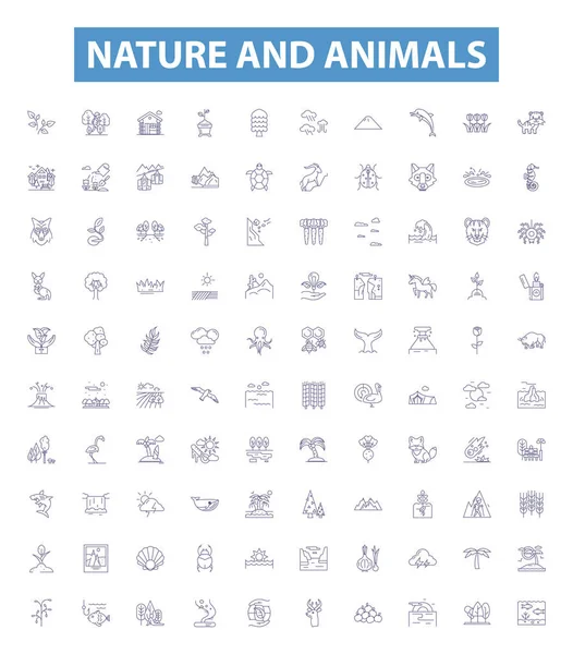 自然和动物的线条图标 标志设置 野生动物 生态系统 哺乳动物概览 — 图库矢量图片