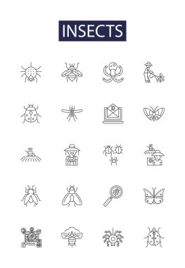 Böcekler çizgi vektör simgeleri ve işaretleri. Sinekler, Karıncalar, Yabanarıları, Güveler, Arılar, Örümcekler, Sivrisinekler, Cırcır böcekleri,