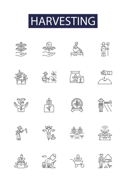 Harvesting Line Vector Icons Signs Reap Crop Collect Pluck Winnow — Stock Vector