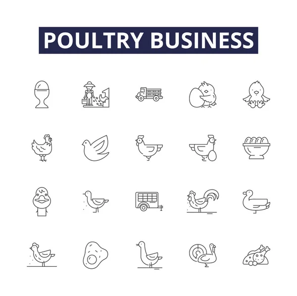 Kümes Hayvanları Alanı Vektör Simgeleri Tabelaları Business Eggs Farms Chicken — Stok Vektör