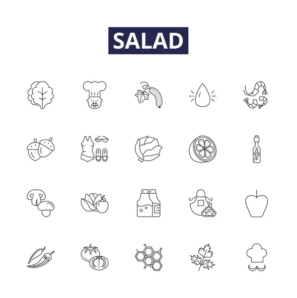 Salad Line Vector Icons Signs Spinach Kale Tomatoes Peppers Onions — Stock Vector