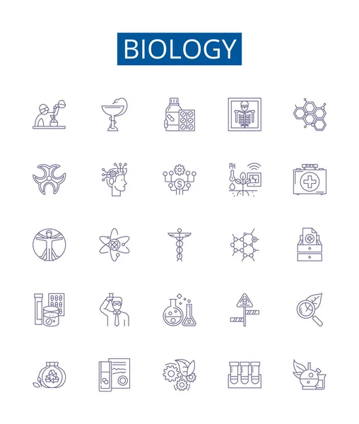 Ikony Linii Biologicznej Ustawione Projekt Zbiór Organizm Komórka Genetyka Ewolucja — Wektor stockowy
