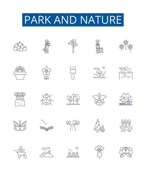 Ikony Parku Linii Przyrodniczych Ustawione Projekt Kolekcja Park Natura Drzewa — Wektor stockowy