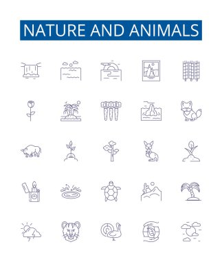 Doğa ve hayvanların çizgi simgeleri belirlendi. Doğa, Hayvanlar, Fauna, Flora, Vahşi Yaşam, Habitat, Ekosistem, Kuşların ana hatları vektör çizimleri