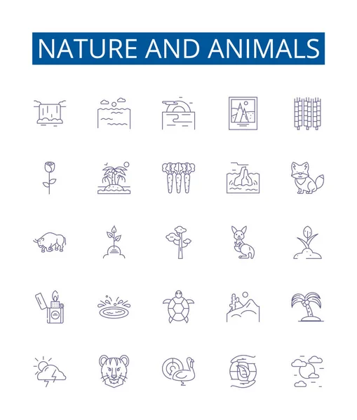 自然和动物线条图标设置 野生动物 生态系统 鸟类设计集 — 图库矢量图片