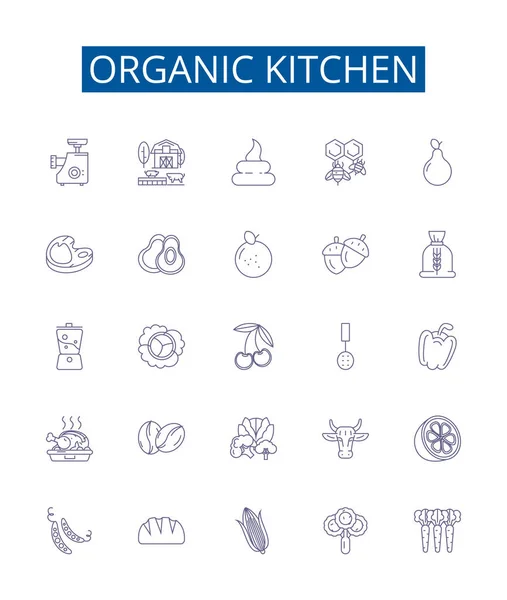 有机厨房线标志设置 设计收集有机 农产品 水果等病媒概念图解 — 图库矢量图片