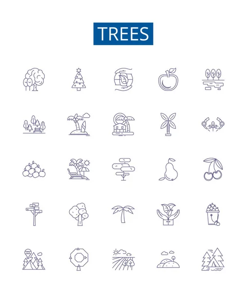 Ikony Drzew Ustawione Kolekcja Projektów Drzew Drzew Iglastych Drewna Sosny — Wektor stockowy
