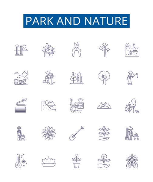 Parque Natureza Linha Ícones Sinais Definidos Coleção Design Park Natureza —  Vetores de Stock
