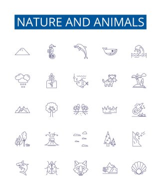 Doğa ve hayvanların çizgi simgeleri belirlendi. Doğa, Hayvanlar, Fauna, Flora, Vahşi Yaşam, Habitat, Ekosistem, Kuşların ana hatları vektör çizimleri