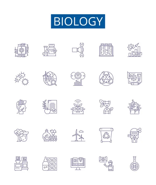 Ikony Biologických Linií Nastaveny Design Kolekce Organismu Buňky Genetika Evoluce — Stockový vektor