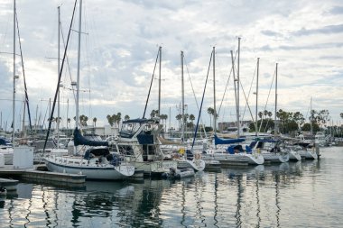 Botlar Marina Del Rey 'deki limanın sakin sularına yanaştı..