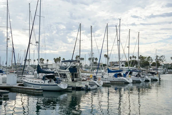 Botlar Marina Del Rey Deki Limanın Sakin Sularına Yanaştı — Stok fotoğraf