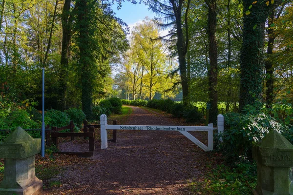 Entrance Small Hiking Trail Rhodondendron Avenue Rhodondendronlaan Netherlands — Stock Photo, Image