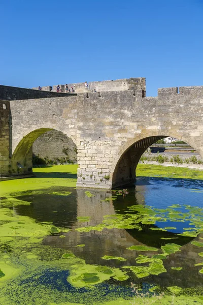 Остатки Старой Средневековой Стены Башни Aigues Mortes Франция — стоковое фото
