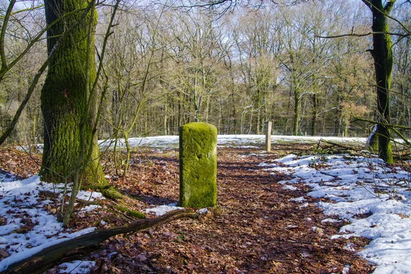 Pedra Velha Fronteira Resistida Entre Alemanha Terras Baixas — Fotografia de Stock