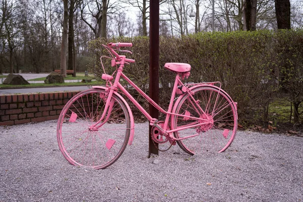 Rose Dames Vélo Contre Poteau — Photo